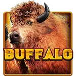 Buffalo
