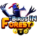 Birds in Forest